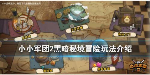 第三十一届中国（维西）兰花博览会即将启幕